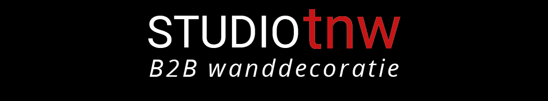 Studio Trendnetwork Logo